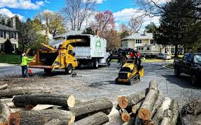 Seasonal Cleanup (Spring/Fall) in Bandon, OR
